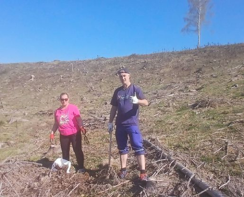 sadenie2026_05